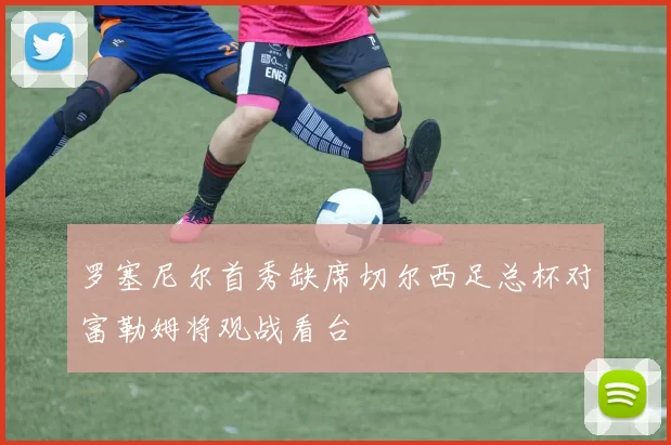 罗塞尼尔首秀缺席切尔西足总杯对富勒姆将观战看台