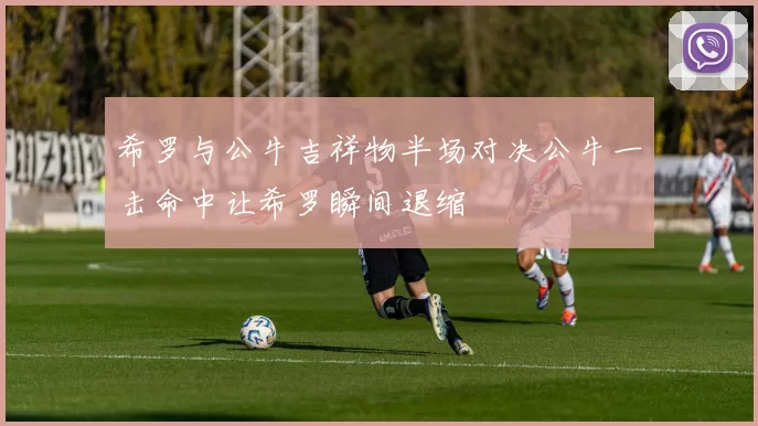 希罗与公牛吉祥物半场对决公牛一击命中让希罗瞬间退缩