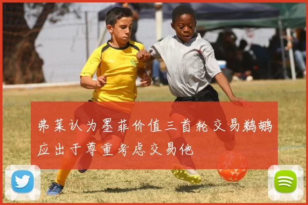 弗莱认为墨菲价值三首轮交易鹈鹕应出于尊重考虑交易他