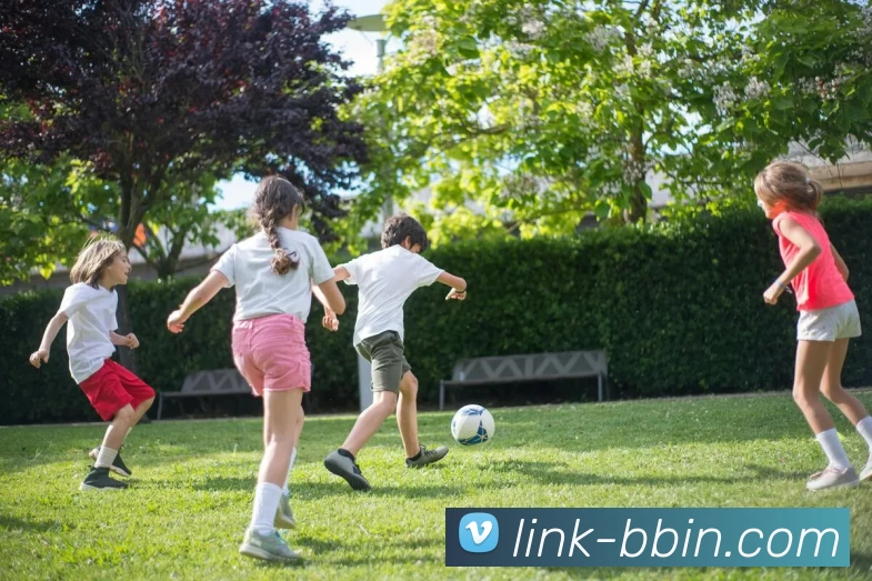 BBIN娱乐APP 封面图